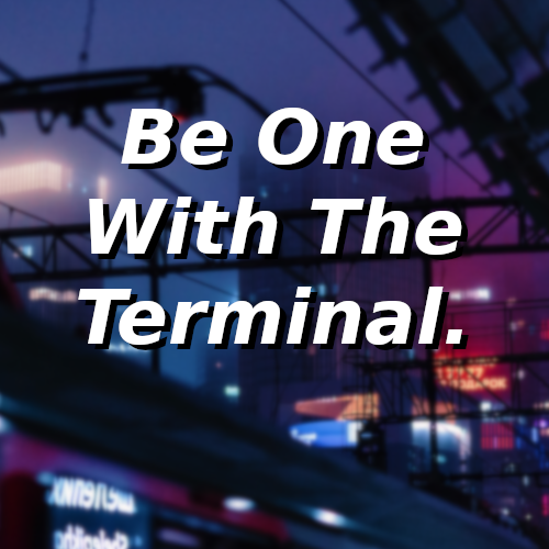 Don’t fear the terminal!